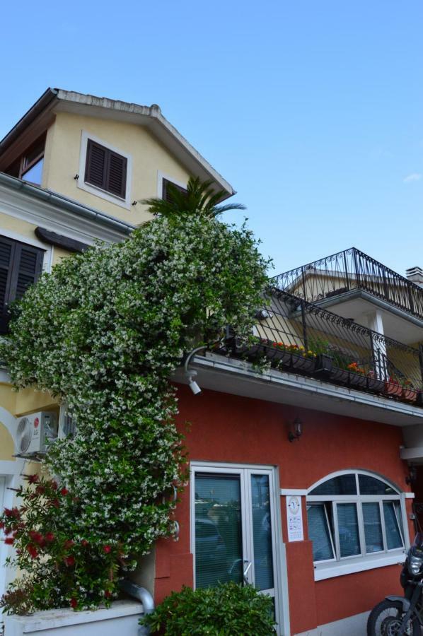 Apartments Qualitas Kotor Bagian luar foto